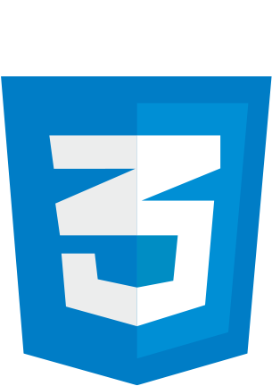 a picture of the word css