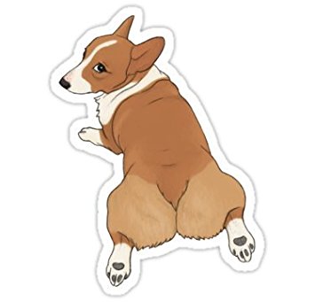Corgo Numero Tres