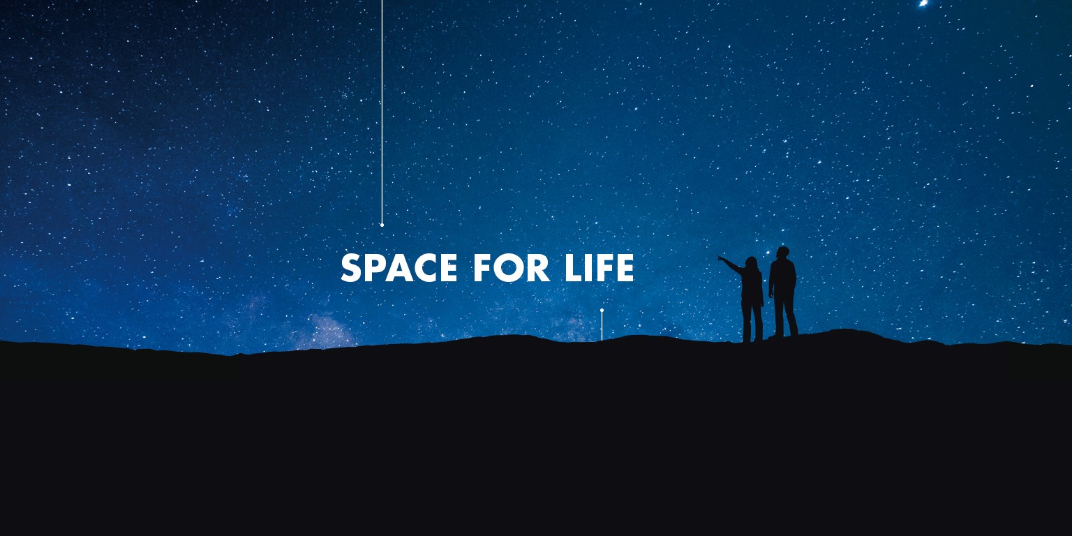 space header