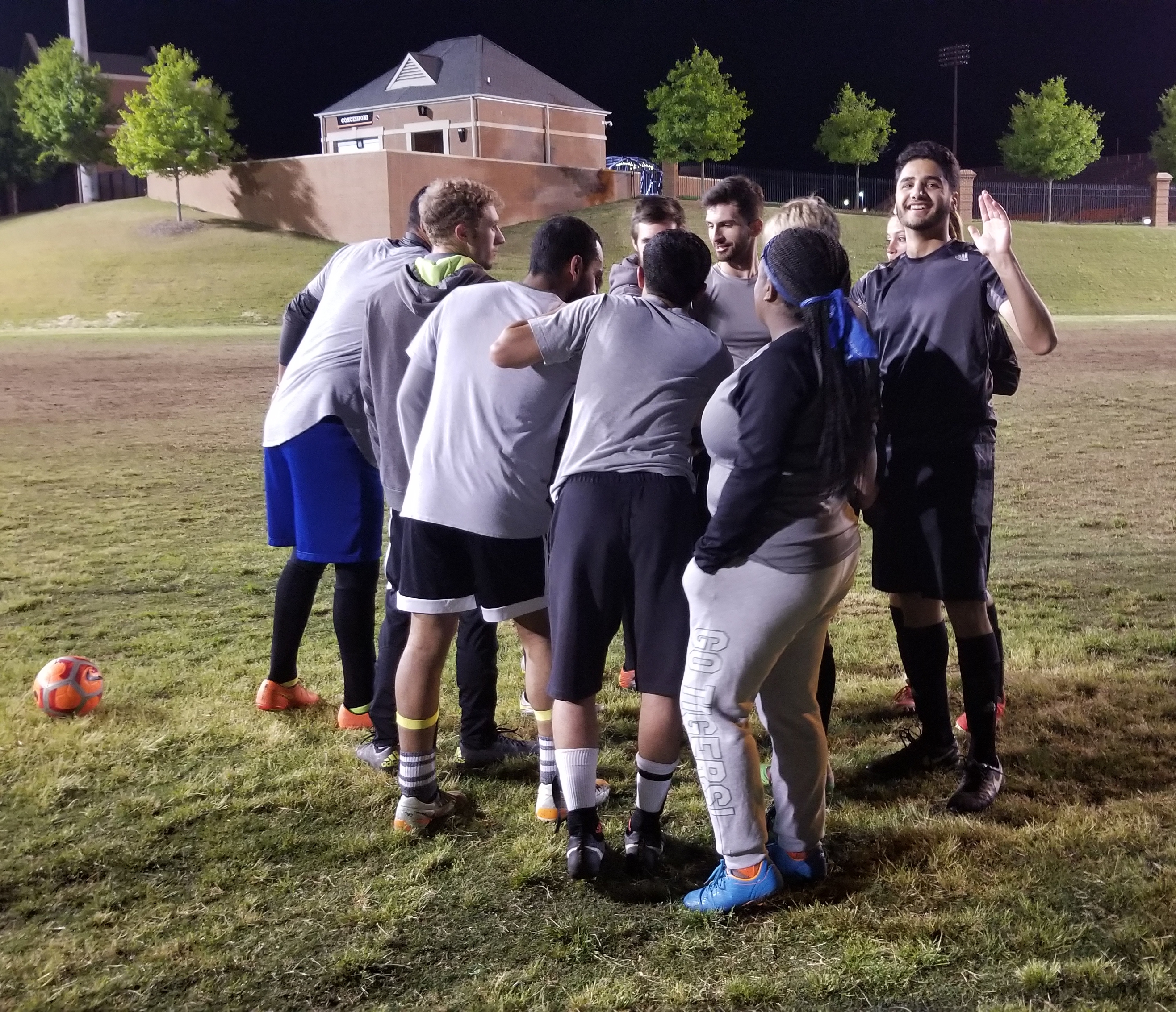 adpi v kingdom game