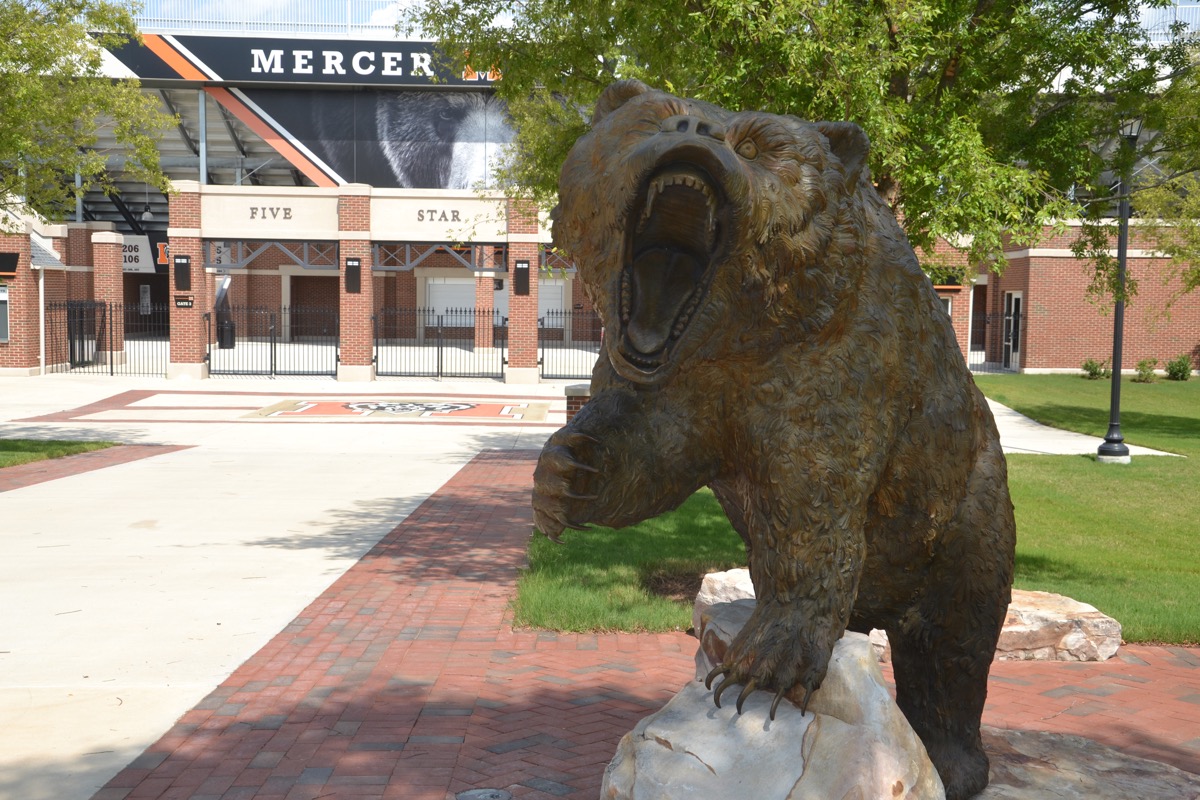 The Mercer Bear!