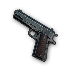 Pistol