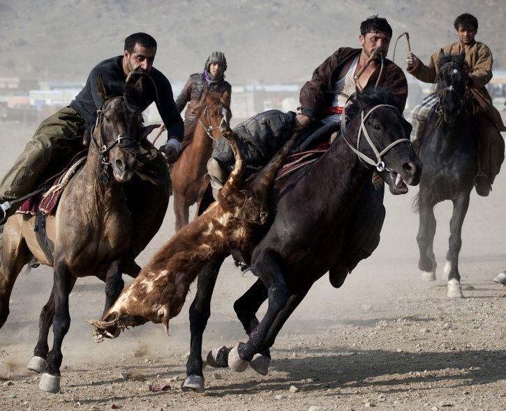 Men on horseback carrying dead goat